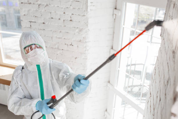 Best Environmental Consulting for Mold Prevention  in Barbourville, KY