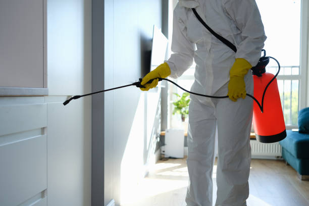  Barbourville, KY Mold Removal Pros